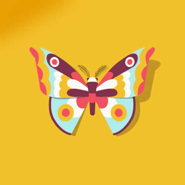 Animation de papillons