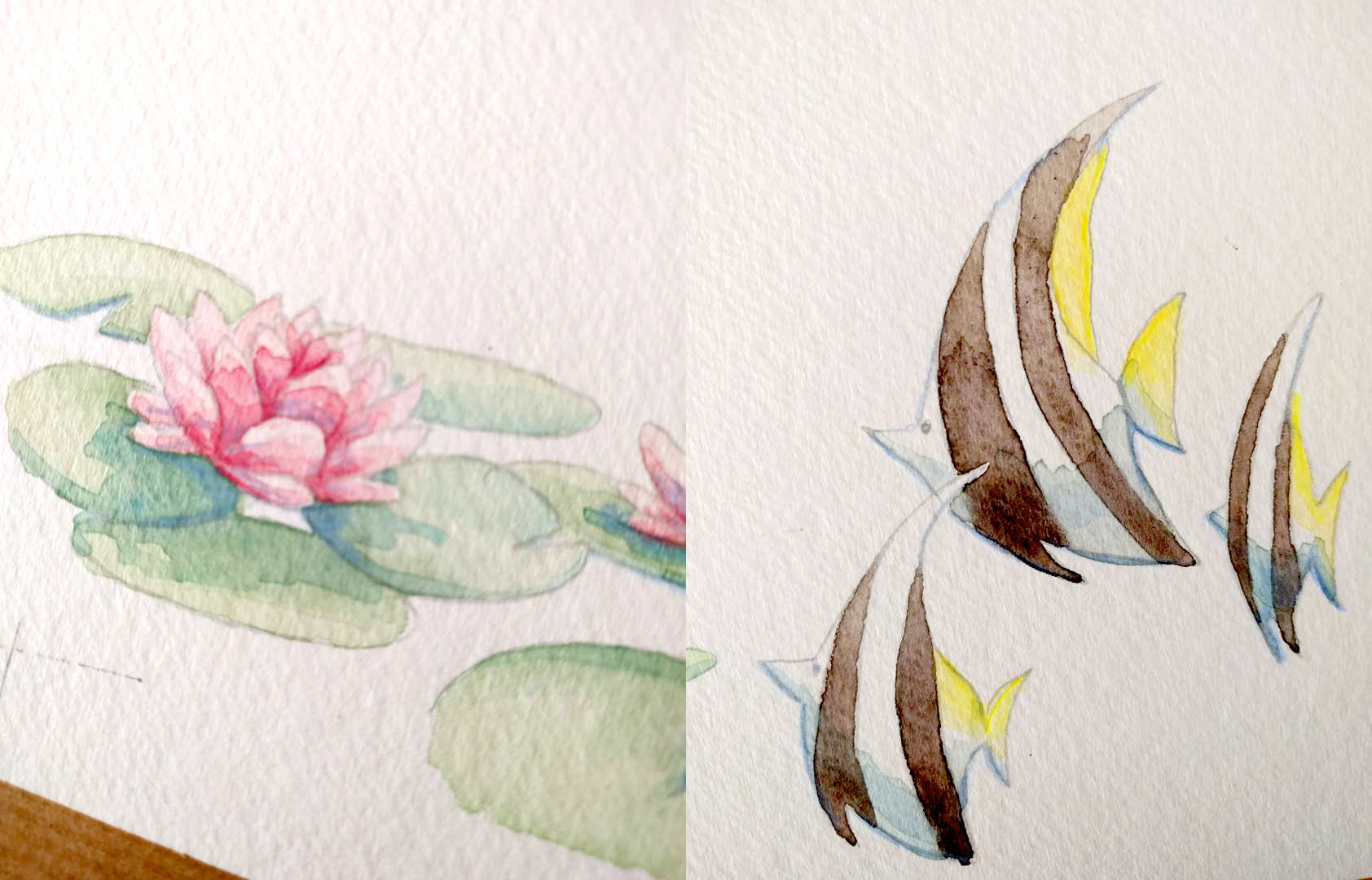 aquarelle peinture Tiphaine Boilet illustratrice Nantes