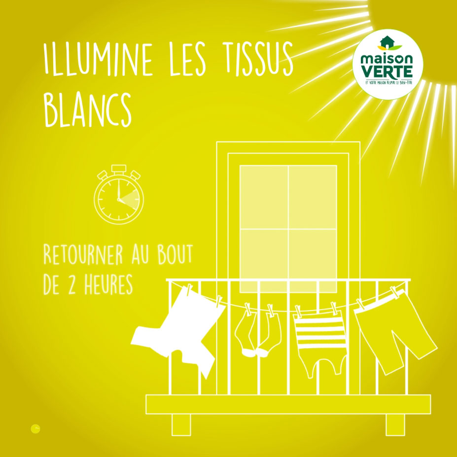motion design 2D réseaux sociaux Tiphaine Boilet motion designer freelance Nantes