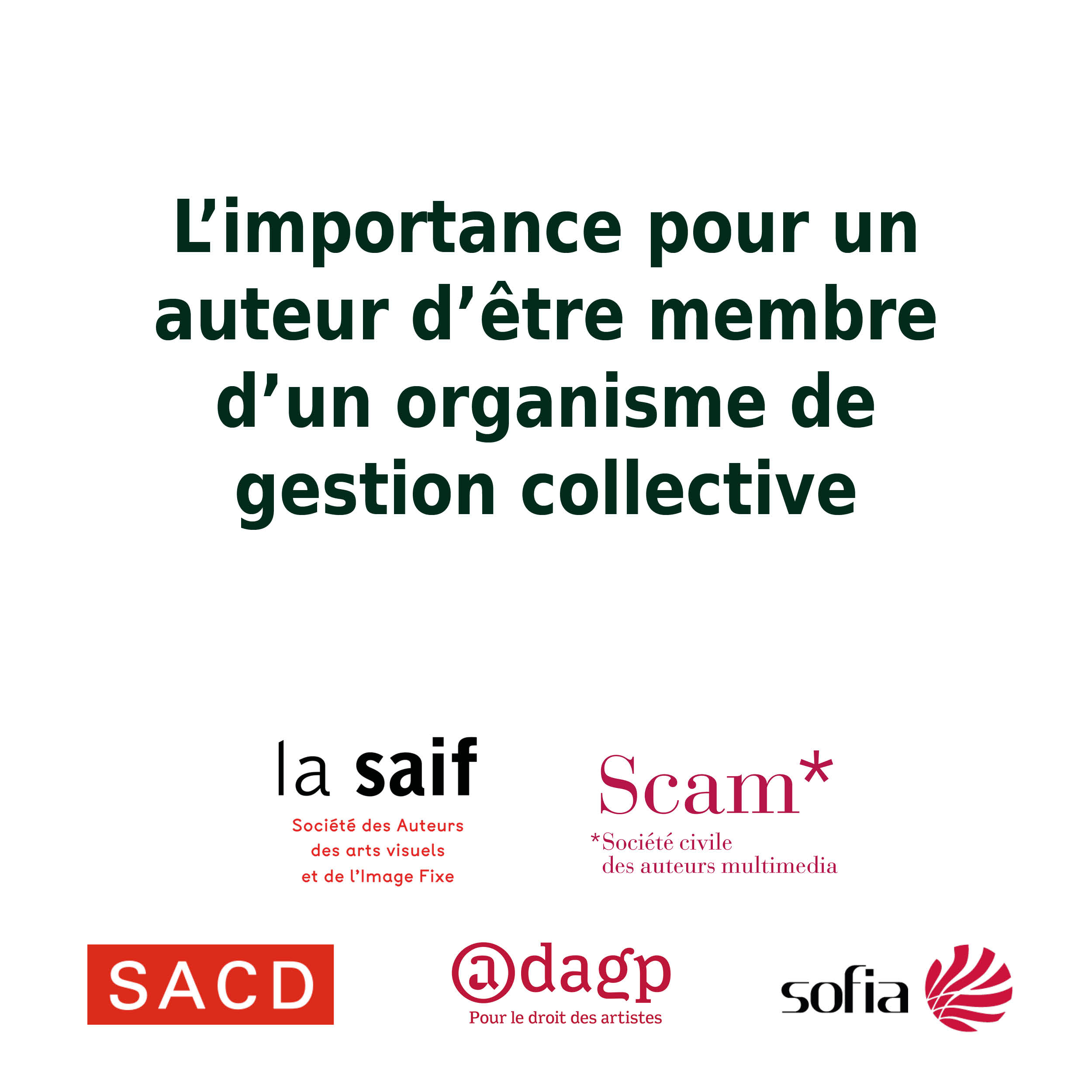 organisme de gestion collective importance auteur autrice Tiphaine Boilet autrice illustratrice Nantes