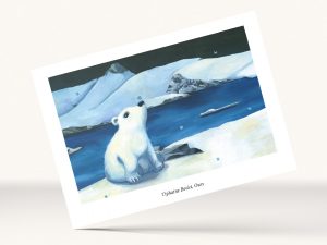 carte ourson mignon banquise illustration jeunesse Tiphaine Boilet illustratrice Nantes