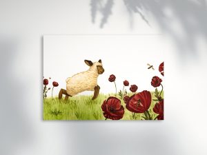 poster petit mouton mignon coquelicots fleur Tiphaine Boilet illustratrice jeunesse Nantes Angers