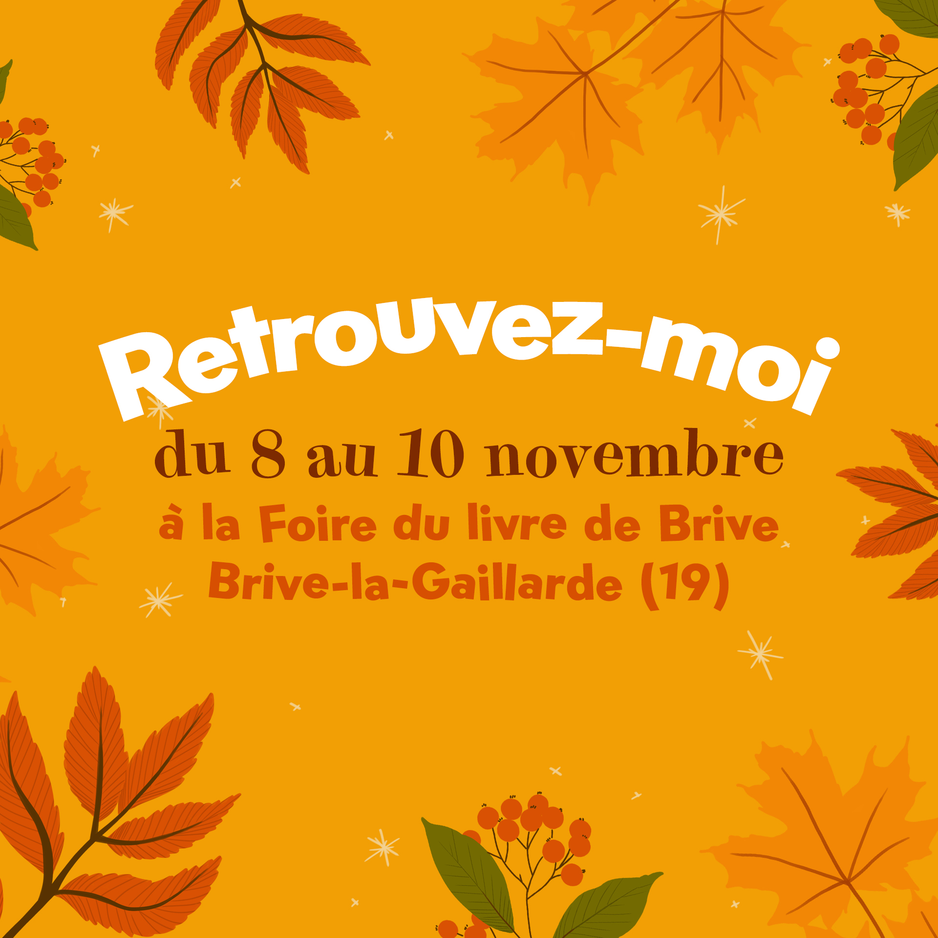 dédicace foire du livre de Brive Tiphaine Boilet illustratrice freelance Nantes