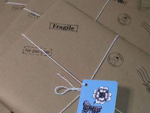 Pochette mystère illustration originale dessin Tiphaine Boilet illustratrice Nantes