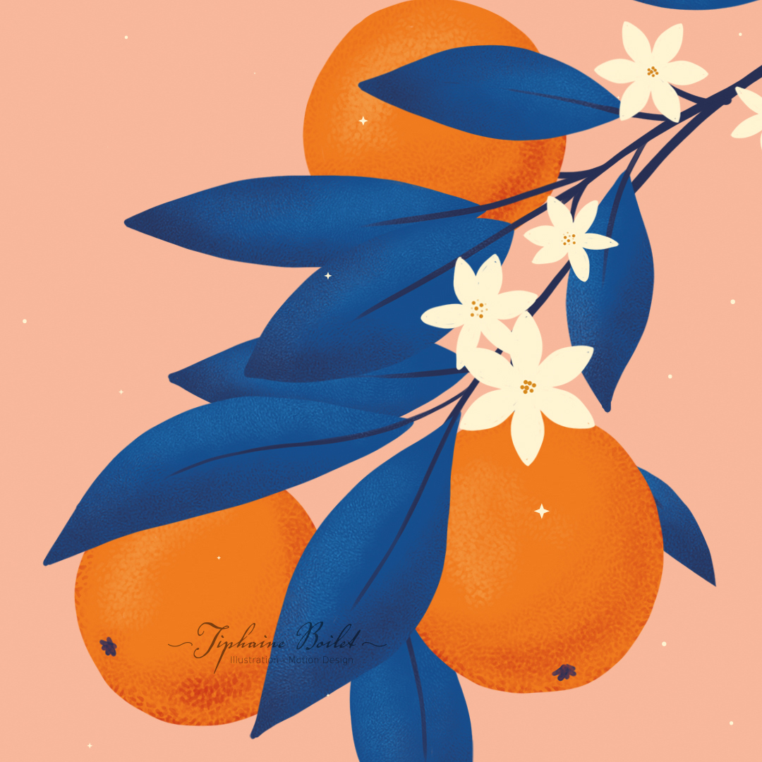bonne année 2025 illustration motion design oranges Tiphaine Boilet illustrateur motion designer freelance Angers