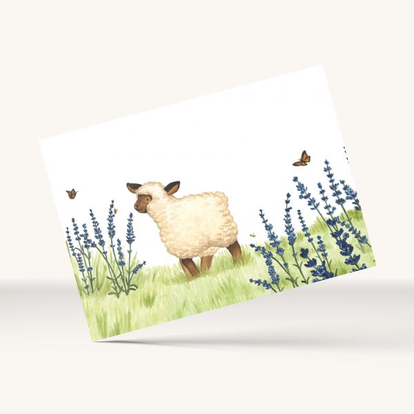carte petit mouton illustration lavande jardin Tiphaine Boilet illustrateur jeunesse Nantes Angers