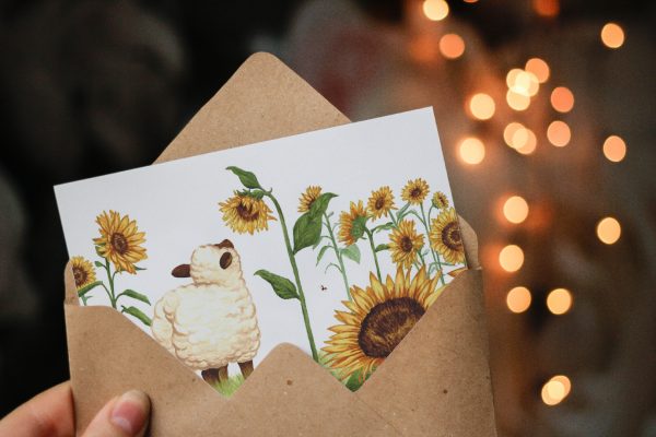 carte illustration petit mouton tournesols jardin Tiphaine Boilet illustratrice Nantes Angers
