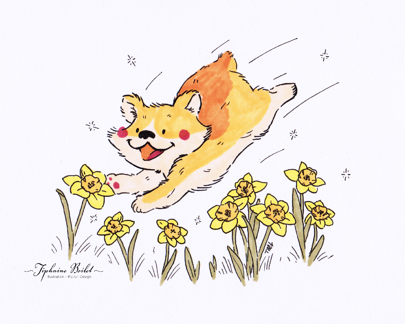 Printemps illustration corgi Tiphaine Boilet illustration jeunesse Nantes