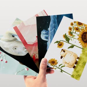 cartes Tiphaine Boilet illustratrice jeunesse Nantes Angers