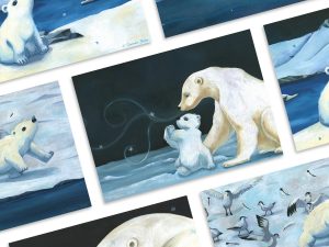 poster ours blanc ourson banquise illustration Tiphaine Boilet illustrateur jeunesse Nantes Angers