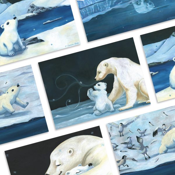 poster ours blanc ourson banquise illustration Tiphaine Boilet illustrateur jeunesse Nantes Angers