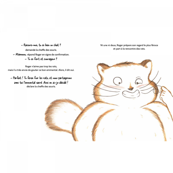 Roger le chat pas trop malin Tiphaine Boilet illustration album jeunesse illustration enfant