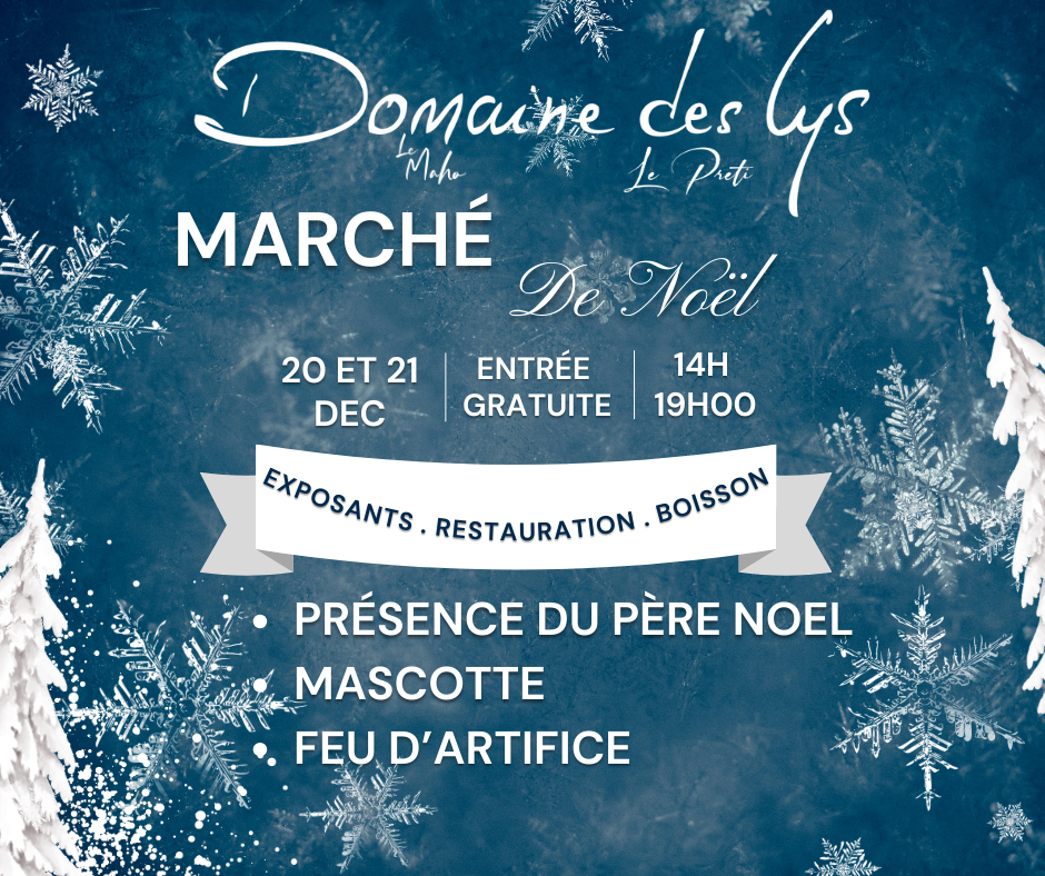 MarcheNoelDomaineDesLys merveilleux marché de Noël ce weekend 2025 Domaine des Lys Ancenis Tiphaine Boilet illustratrice Nantes Angers