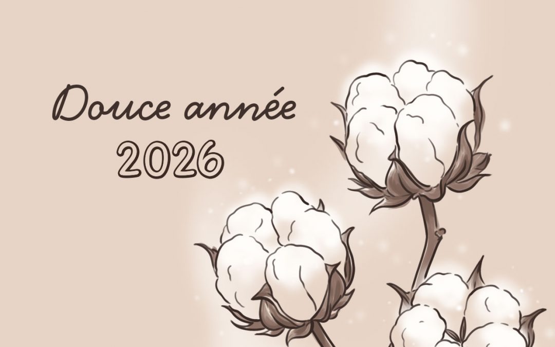 Bonne année 2026 et douce année