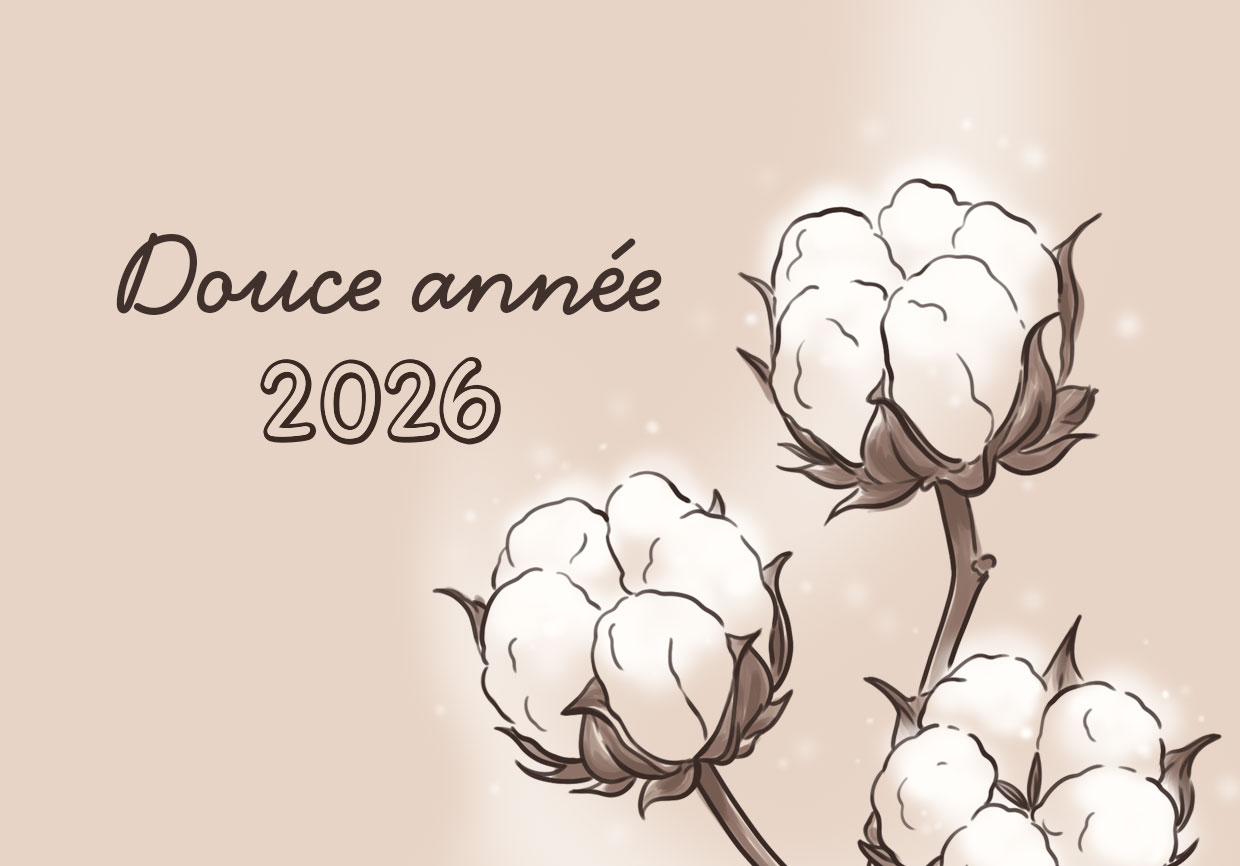 bonne année 2026 bonne année dessin Tiphaine Boilet illustrateur motion designer Nantes Angers