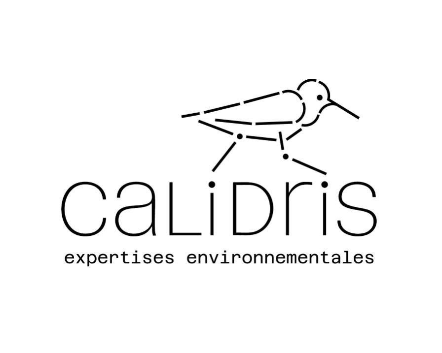 Lottie Files création animation site web Calidris Tiphaine Boilet motion design Nantes