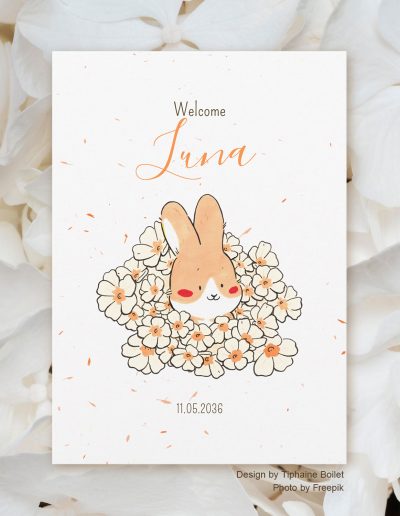 faire part naissance original faire part naissance lapin Tiphaine Boilet illustratrice Nantes Angers