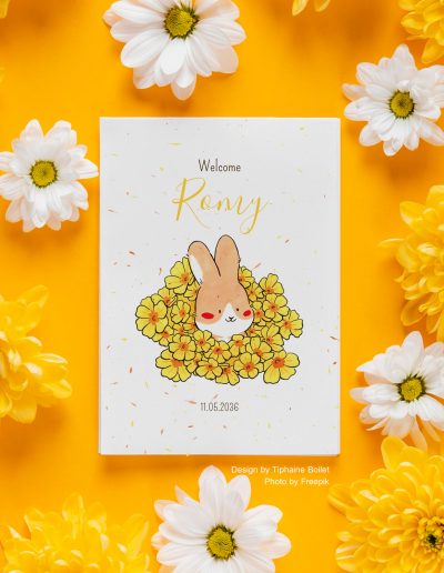 faire part naissance original faire part naissance lapin Tiphaine Boilet illustratrice Nantes Angers