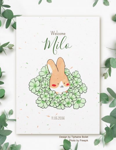 faire part naissance original faire part naissance lapin Tiphaine Boilet illustratrice Nantes Angers