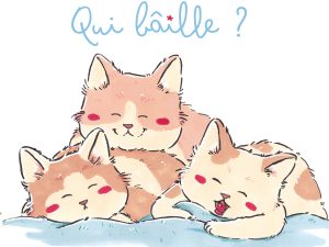 livre sommeil bebe Qui Baille Tiphaine Boilet illustratrice jeunesse Nantes Angers
